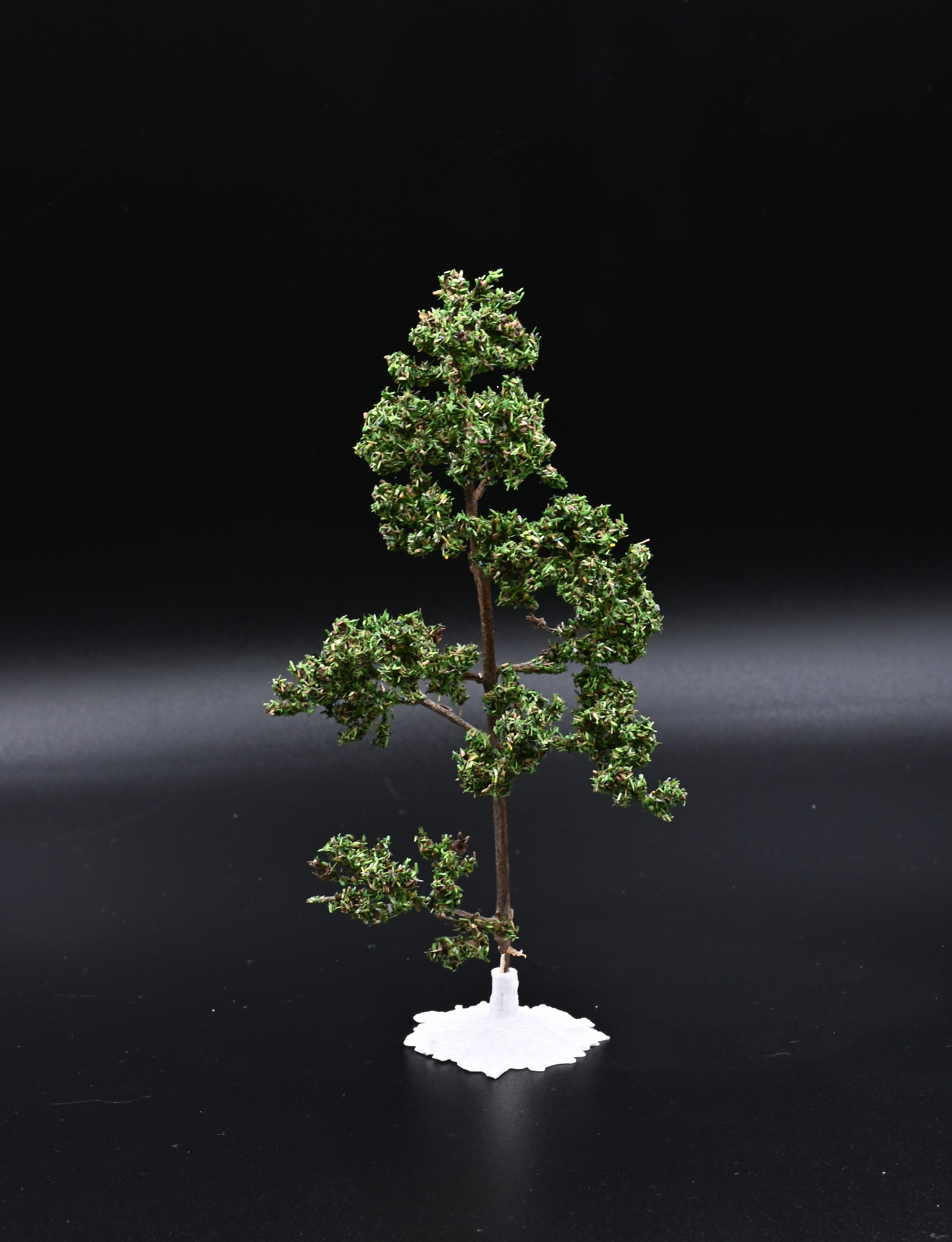 Voetstukje met boom 5.JPG